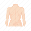 anatomy, back, back body, body, female body, human parts, spine