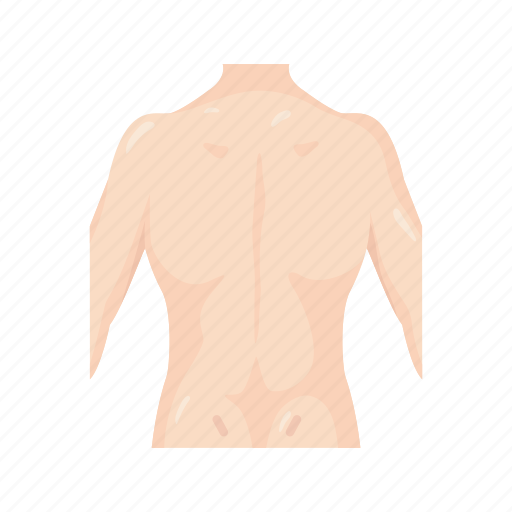 Anatomy, back, back body, body, female body, human parts, spine icon - Download on Iconfinder
