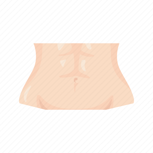 Abdominal muscles, anatomy, belly, female body, human anatomy, stomach, tummy icon - Download on Iconfinder