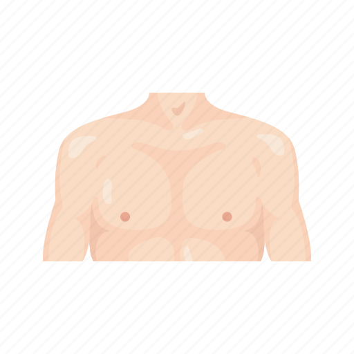 Anatomy, body, breast, chest, human anatomy, human body, male chest icon - Download on Iconfinder
