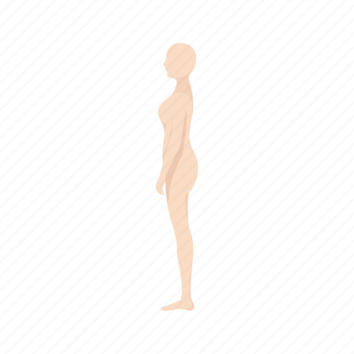 Anatomy, body, female, female body, human anatomy, human body, parts of the body icon - Download on Iconfinder