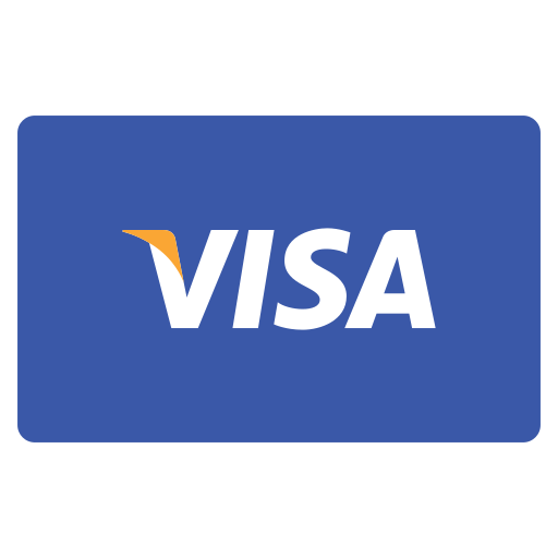 Card, income, pattern, paying, payment, visa icon - Free download