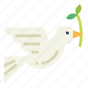 animal, bird, dove, peace