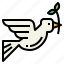 animal, bird, dove, peace 