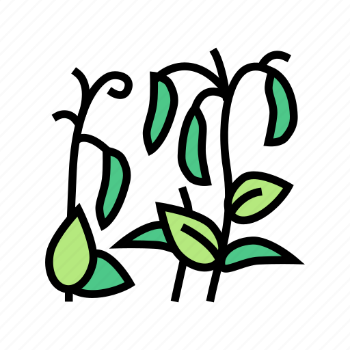 Plant, peas, beans, vegetable, agricultural, flower icon - Download on Iconfinder