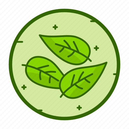 Leaves, nature, leaf, plant, peru, culture icon - Download on Iconfinder