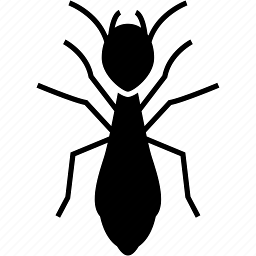 Insect, termite icon - Download on Iconfinder on Iconfinder