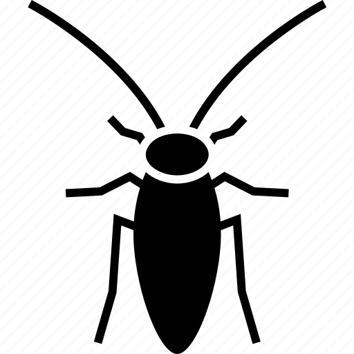 Cockroach, pest icon - Download on Iconfinder on Iconfinder