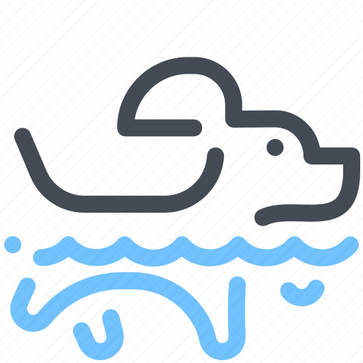 Animal, dog, pet, swim, swiming, training, water icon - Download on Iconfinder