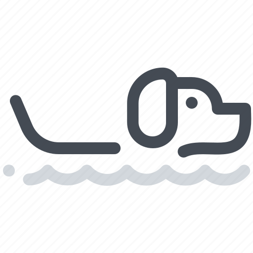 Animal, dog, pet, swim, swiming, training, water icon - Download on Iconfinder