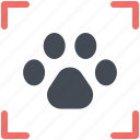 animal, dog, footprint, paw, pet 