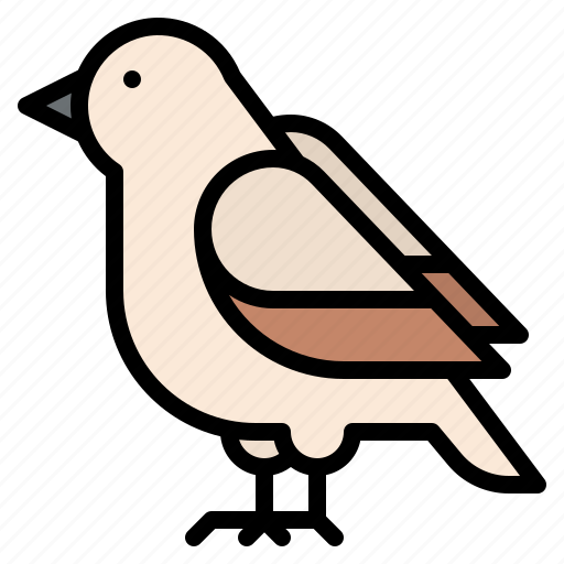 Bird, animal, pet icon - Download on Iconfinder