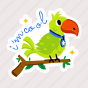 cute parrot, psittaciformes, parrot pet, cute bird, macaw parrot