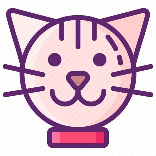 Cat, kitty, kitten, animal, pet icon - Download on Iconfinder