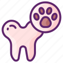 dental, cleaning, paw, tooth