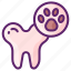 dental, cleaning, paw, tooth 