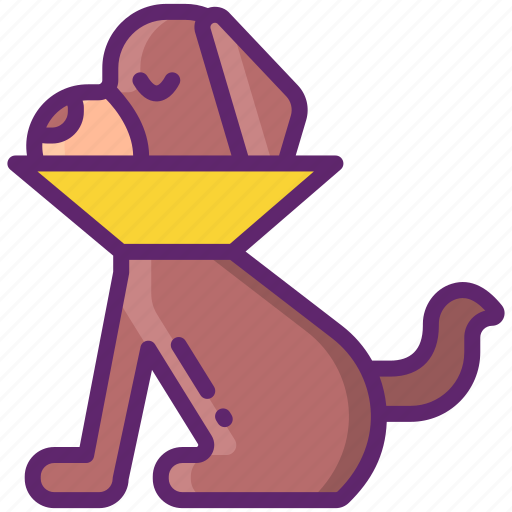 Pet, cone, dog, animal icon - Download on Iconfinder