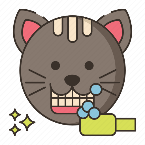 Dental, cleaning, pet, cat icon - Download on Iconfinder