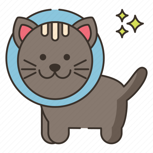 Pet, cone, cat, mammal icon - Download on Iconfinder