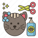 routine, care, grooming, pet, cat, shampoo