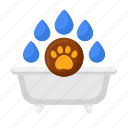 bath, grooming, pet, animal, paw