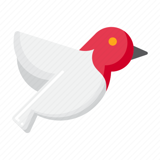 Bird, dove, animal icon - Download on Iconfinder