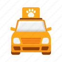 pet, taxi, transportation, vehicle