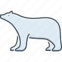 bear, brown bear, bruin, grizzly, hunting, omnivores, pet