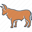 agriculture, animal, attack, bull, cattle, danger, ox