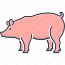 animal, boar, farm, pig, piglet, pork, squealer