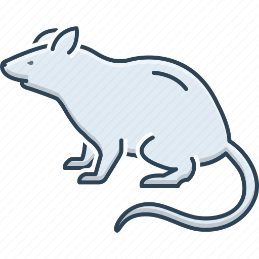 Beast, domestic, harmful, jerboa, mouse, rat, rodent icon - Download on Iconfinder