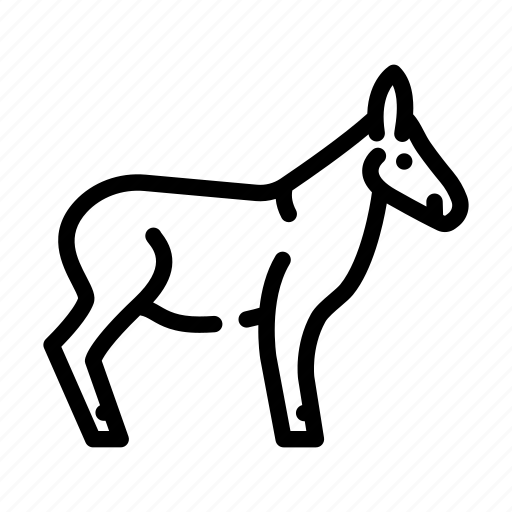 Donkey, animal, pet, domestic, farm, sea, aqua icon - Download on Iconfinder