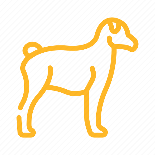 Dog, pet, animal, domestic, farm, sea icon - Download on Iconfinder