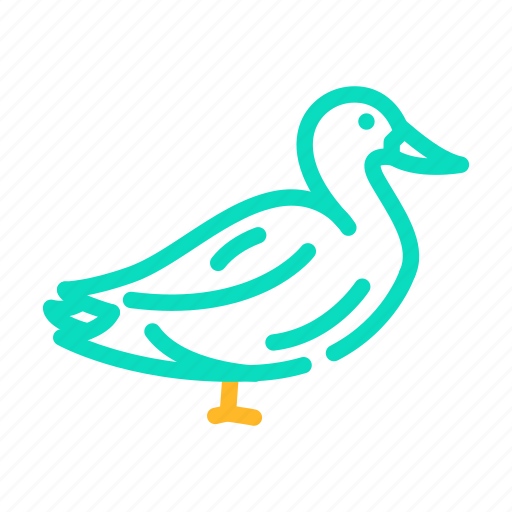 Duck, farm, bird, pet, domestic, sea icon - Download on Iconfinder