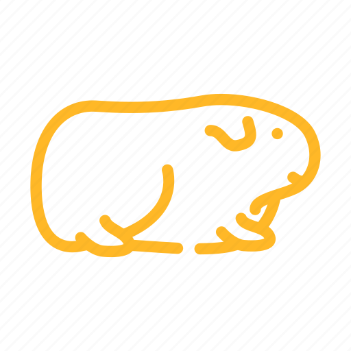 Guinea, pig, domestic, animal, pet, farm icon - Download on Iconfinder