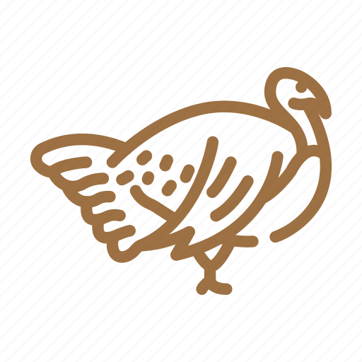 Turkey, farmland, bird, pet, domestic, farm icon - Download on Iconfinder