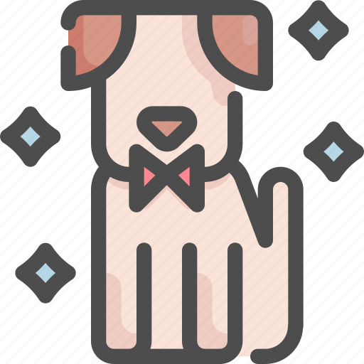 Animal, clean, dog, grooming, pet, salon, shop icon - Download on Iconfinder