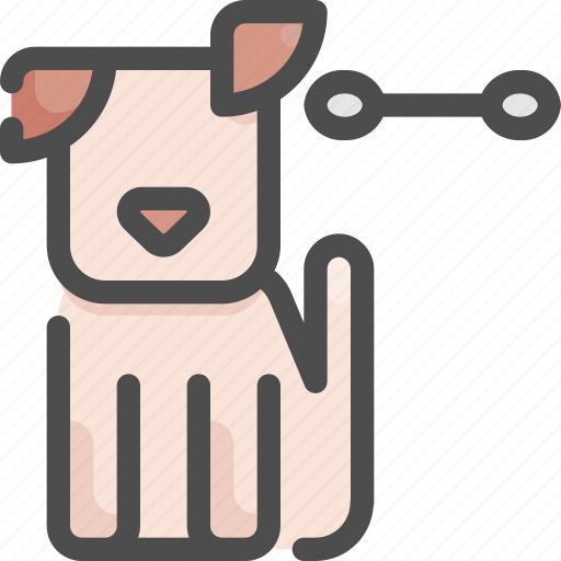 Animal, clean, ears, grooming, hygiene, pet, shop icon - Download on Iconfinder