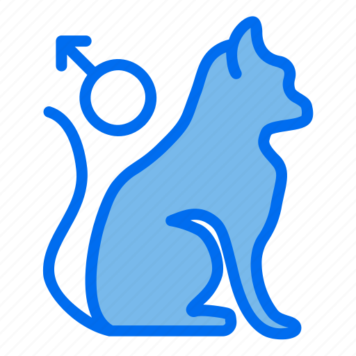 Cat, gender, pet, shop, male icon - Download on Iconfinder