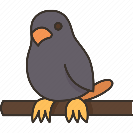 Bird, pet, parrot, animal, cute icon - Download on Iconfinder