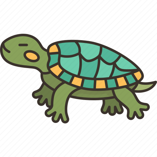 Turtle, pet, amphibian, animal, wildlife icon - Download on Iconfinder