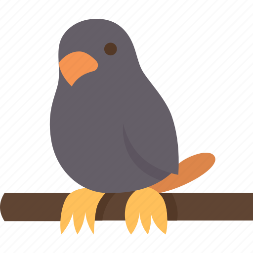 Bird, pet, parrot, animal, cute icon - Download on Iconfinder