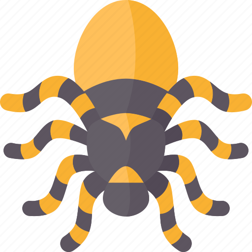 Spider, tarantula, arachnid, pet, wildlife icon - Download on Iconfinder