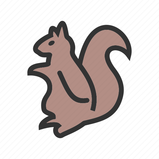 Animal, brown, cute, mammal, red, rodent, squirrel icon - Download on Iconfinder