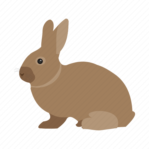 Baby, bunny, cute, farm, pet, rabbit, young icon - Download on Iconfinder