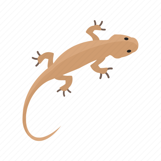 Animal, color, lizard, orange, pet, reptile, tail icon - Download on Iconfinder