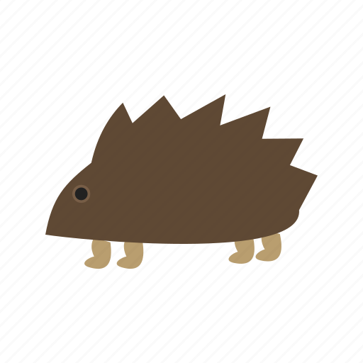 African, brown, cute, hedgehog, hedgehogs, pet icon - Download on Iconfinder