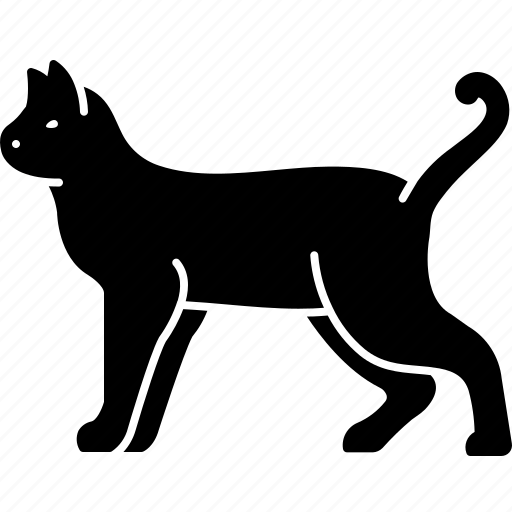 Cat, cheetah, cute, domestic, feline, felis, kitten icon - Download on Iconfinder