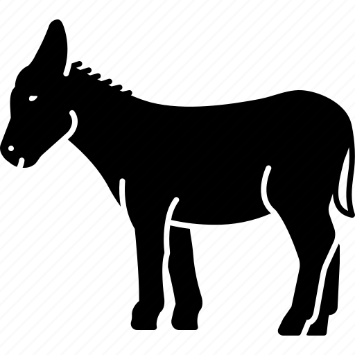 Asinus, burro, donkey, jackass, moke, mule, useful icon - Download on Iconfinder