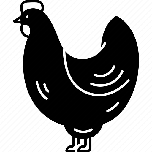 Chicken, coop, feathers, hen, poultry, pullet, rooster icon - Download on Iconfinder